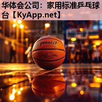 华体会公司：家用标准乒乓球台