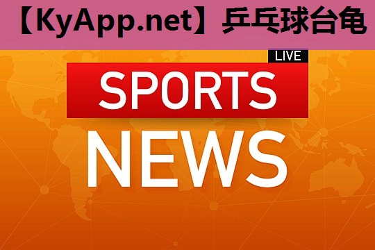 乒乓球台龟