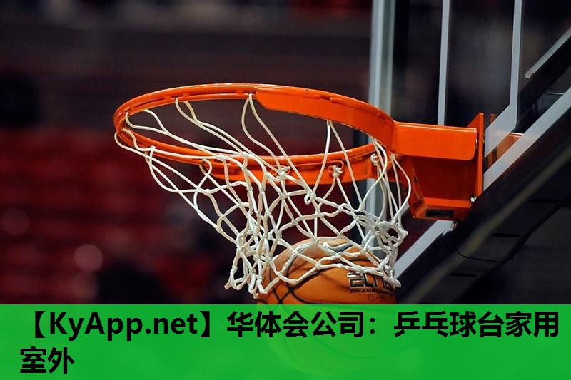 华体会公司：乒乓球台家用室外