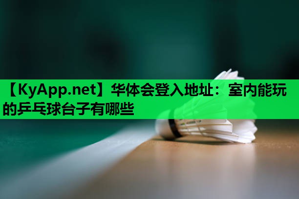 华体会登入地址：室内能玩的乒乓球台子有哪些