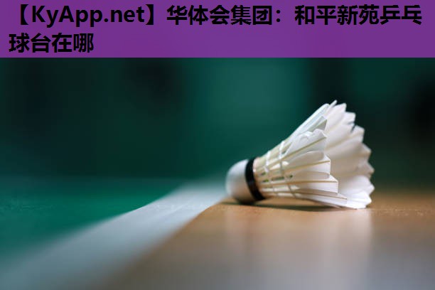 华体会集团：和平新苑乒乓球台在哪