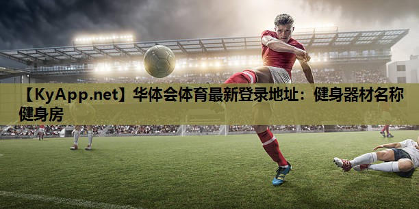 华体会体育最新登录地址：健身器材名称 健身房