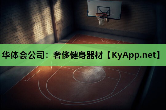 华体会公司：奢侈健身器材