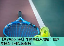 华体会登入地址：在乒乓球台上可以玩耍吗