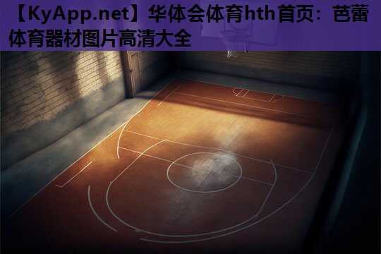 华体会体育hth首页：芭蕾体育器材图片高清大全