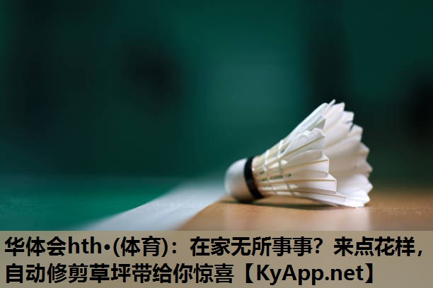 华体会hth·(体育)：在家无所事事？来点花样，自动修剪草坪带给你惊喜