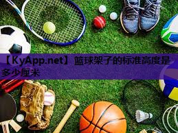 篮球架子的标准高度是多少厘米