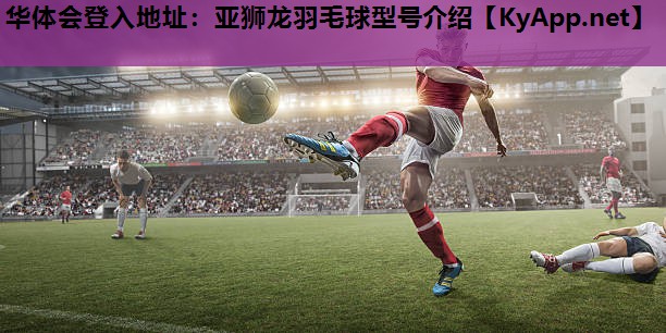 华体会登入地址：亚狮龙羽毛球型号介绍