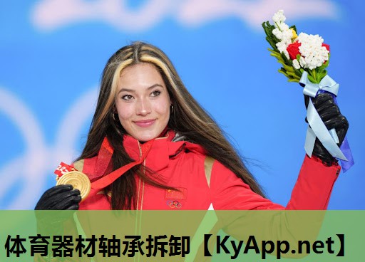 体育器材轴承拆卸