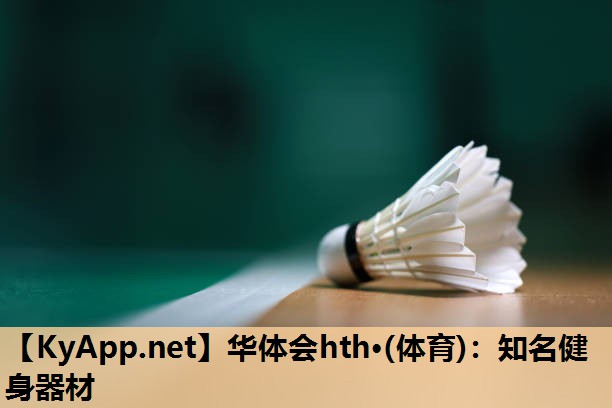 华体会hth·(体育)：知名健身器材