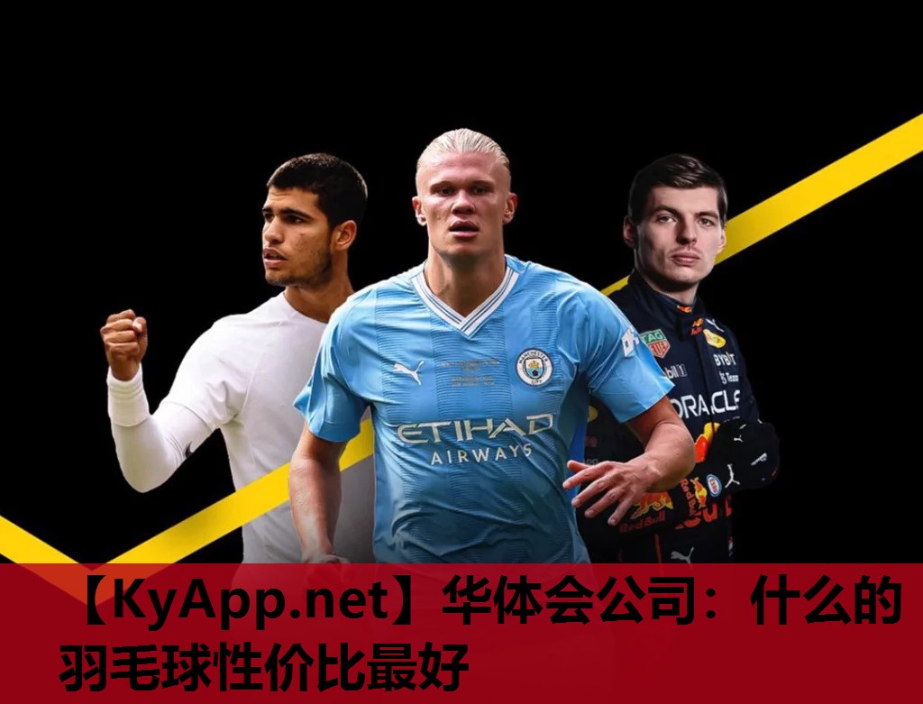 华体会公司：什么的羽毛球性价比最好