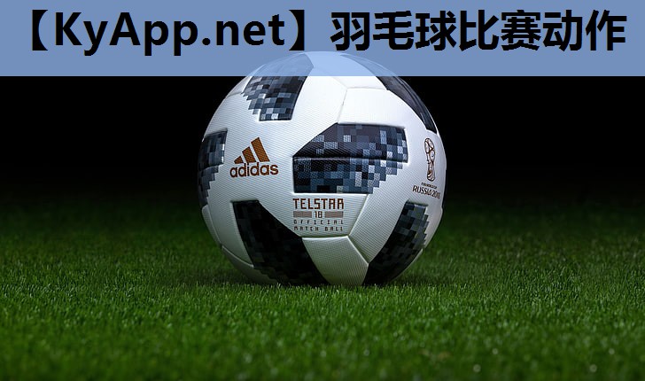 羽毛球比赛动作