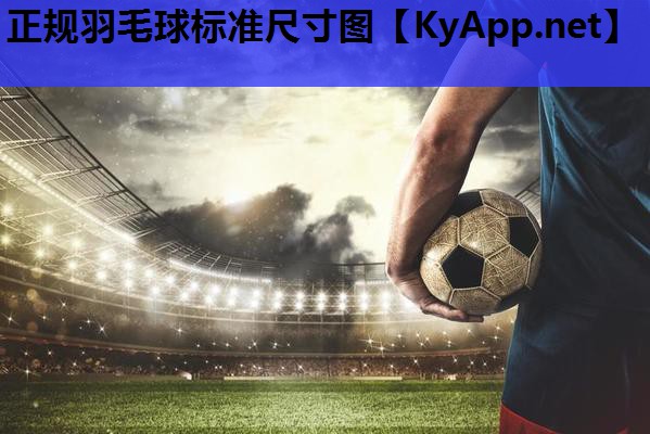 正规羽毛球标准尺寸图