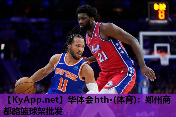华体会hth·(体育)：郑州商都路篮球架批发