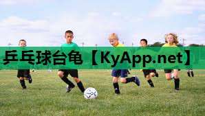 乒乓球台龟 乒乓球台龟