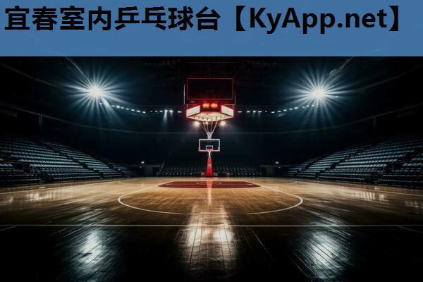 宜春室内乒乓球台 宜春室内乒乓球台