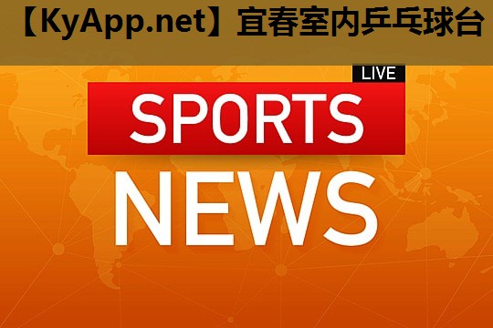 宜春室内乒乓球台 宜春室内乒乓球台