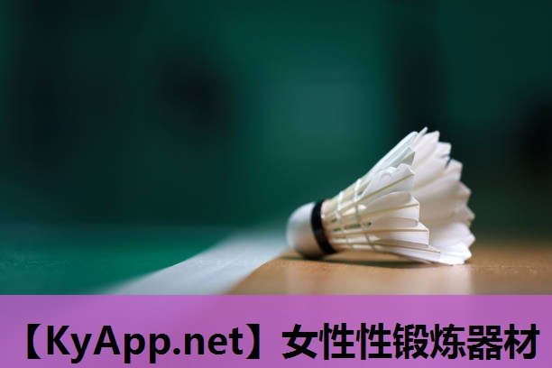 女性性锻炼器材 女性性锻炼器材