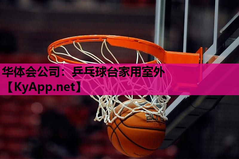 乒乓球台家用室外 乒乓球台家用室外