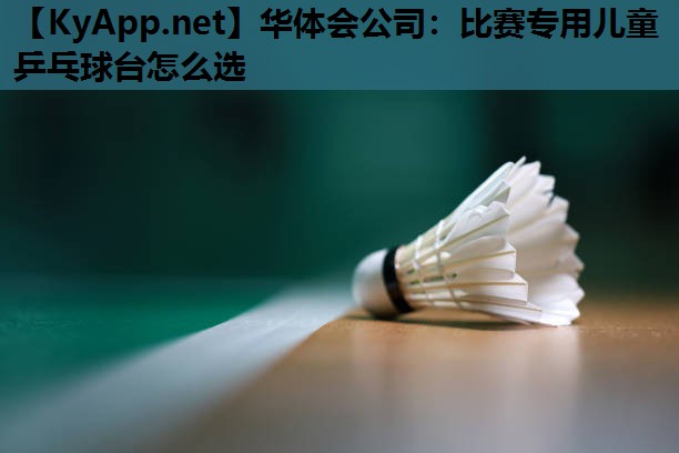 比赛专用儿童乒乓球台怎么选 比赛专用儿童乒乓球台怎么选