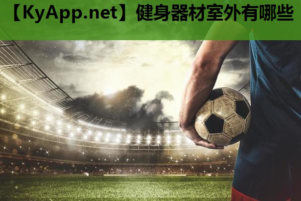 健身器材室外有哪些 健身器材室外有哪些