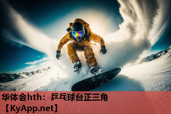 乒乓球台正三角 乒乓球台正三角