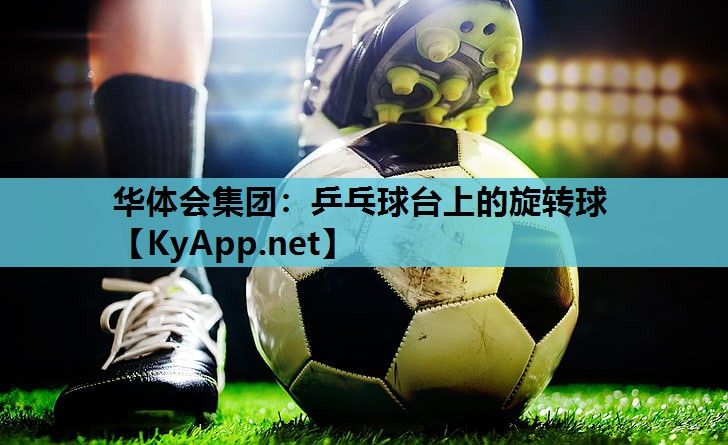 乒乓球台上的旋转球 乒乓球台上的旋转球