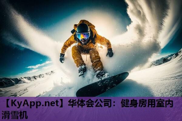 健身房用室内滑雪机 健身房用室内滑雪机