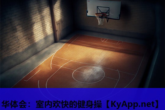 室内欢快的健身操 室内欢快的健身操