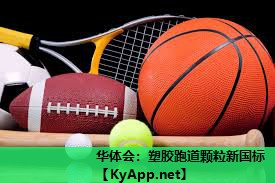 塑胶跑道颗粒新国标 塑胶跑道颗粒新国标