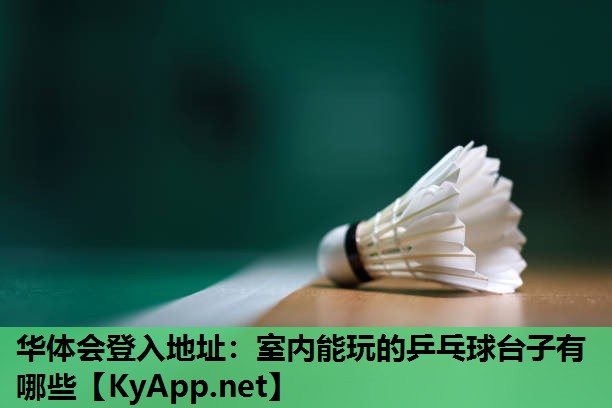 室内能玩的乒乓球台子有哪些 室内能玩的乒乓球台子有哪些
