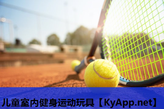 儿童室内健身运动玩具 儿童室内健身运动玩具