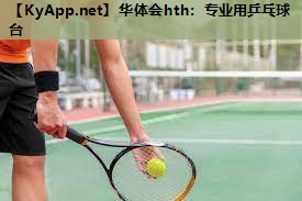 专业用乒乓球台 专业用乒乓球台