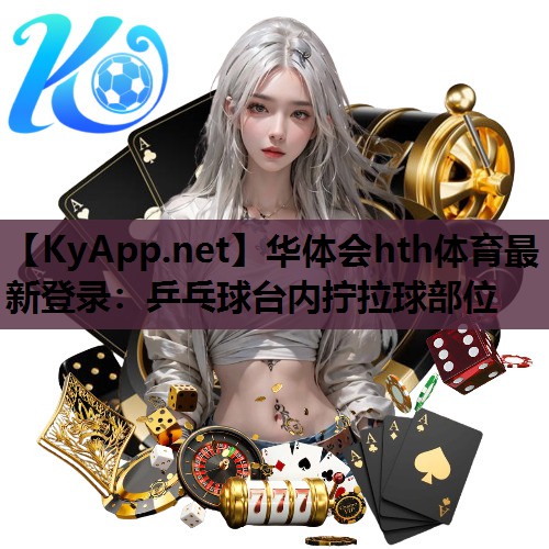 乒乓球台内拧拉球部位 乒乓球台内拧拉球部位