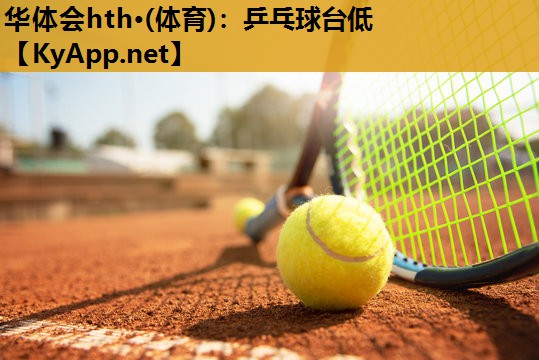 乒乓球台低 乒乓球台低
