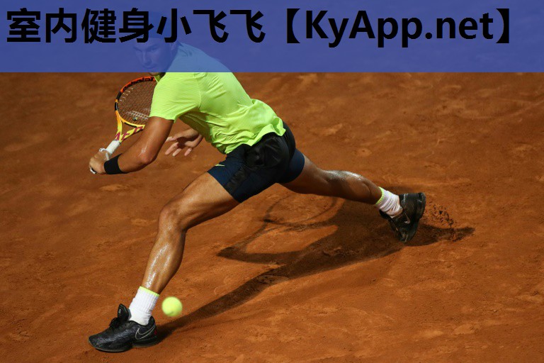 室内健身小飞飞 室内健身小飞飞