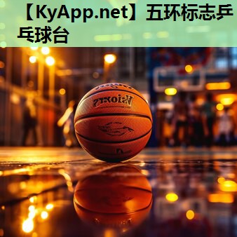 五环标志乒乓球台 五环标志乒乓球台
