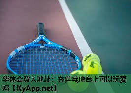 在乒乓球台上可以玩耍吗 在乒乓球台上可以玩耍吗