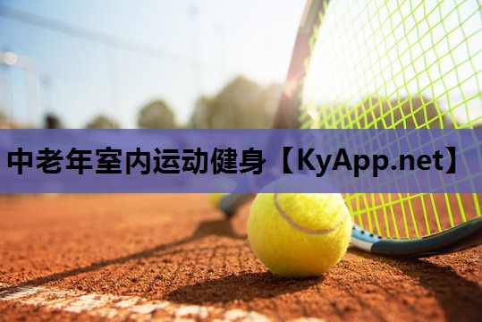 中老年室内运动健身 中老年室内运动健身