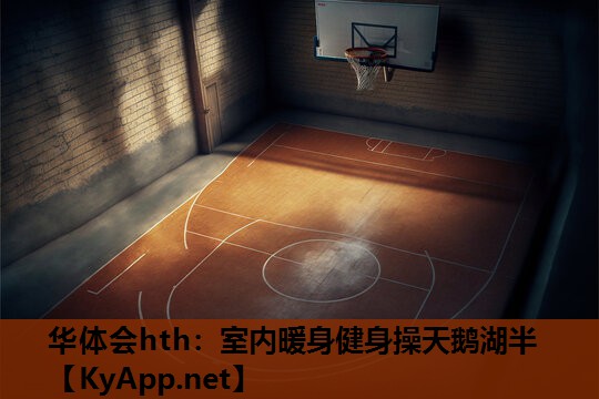 室内暖身健身操天鹅湖半 室内暖身健身操天鹅湖半