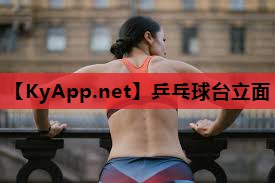 乒乓球台立面 乒乓球台立面