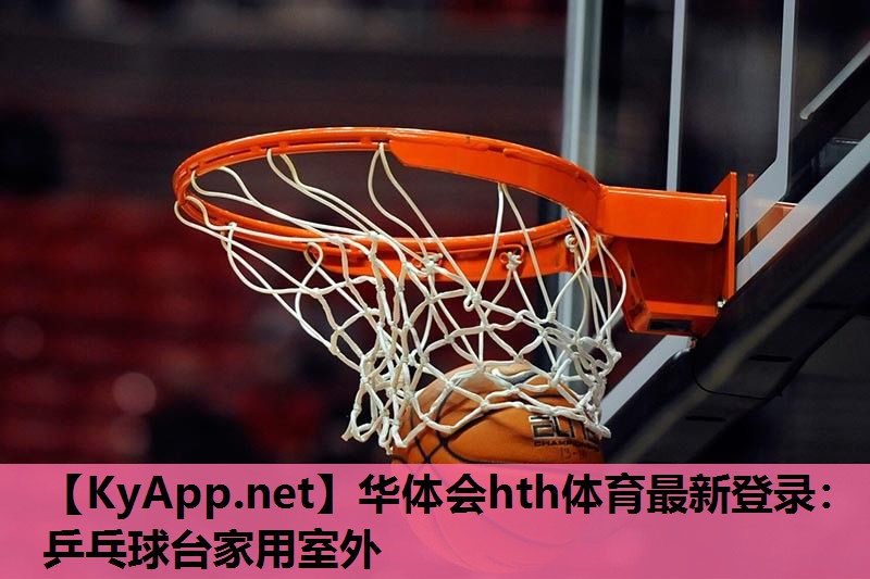 乒乓球台家用室外 乒乓球台家用室外