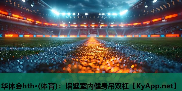 墙壁室内健身吊双杠 墙壁室内健身吊双杠