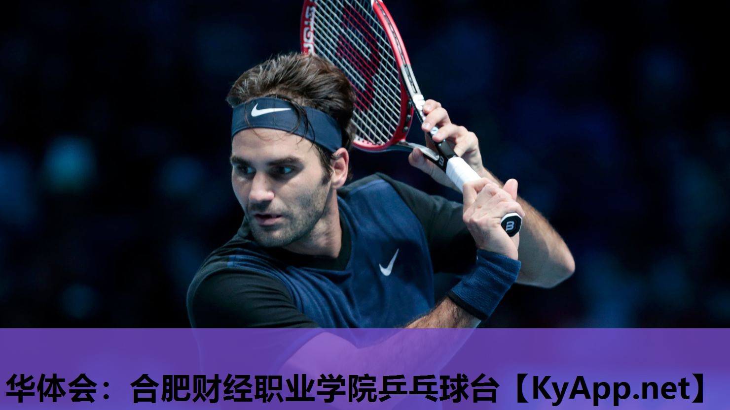 合肥财经职业学院乒乓球台 合肥财经职业学院乒乓球台