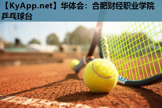 合肥财经职业学院乒乓球台 合肥财经职业学院乒乓球台
