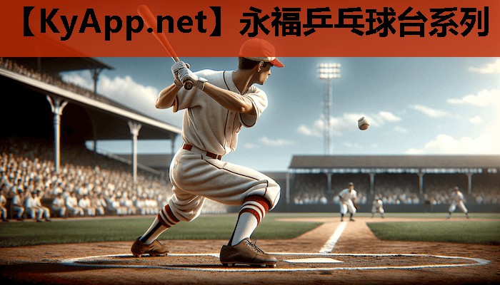 永福乒乓球台系列 永福乒乓球台系列