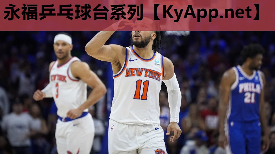 永福乒乓球台系列 永福乒乓球台系列