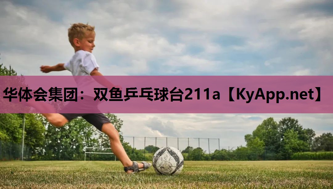 双鱼乒乓球台211a 双鱼乒乓球台211a