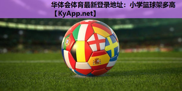 小学篮球架多高 小学篮球架多高