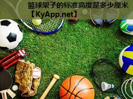 篮球架子的标准高度是多少厘米 篮球架子的标准高度是多少厘米